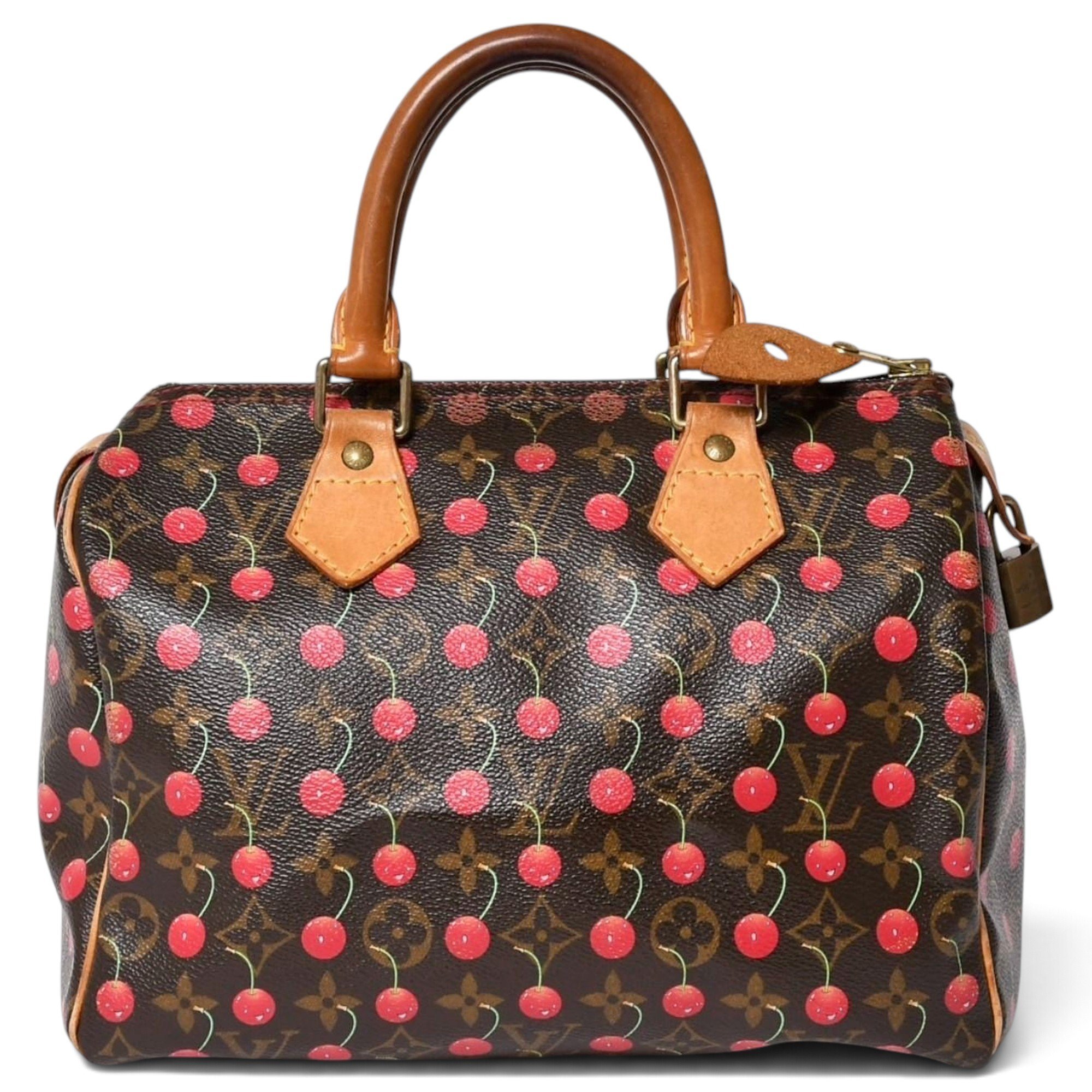 Speedy cloth handbag
