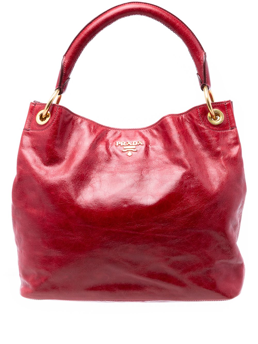 2013-2026 Vitello Shine tote bag
