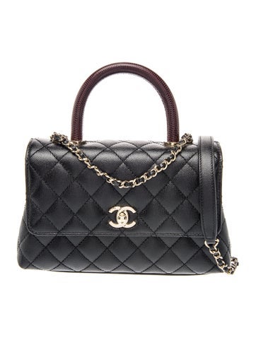 Lizard-Trimmed Mini Coco Handle Bag