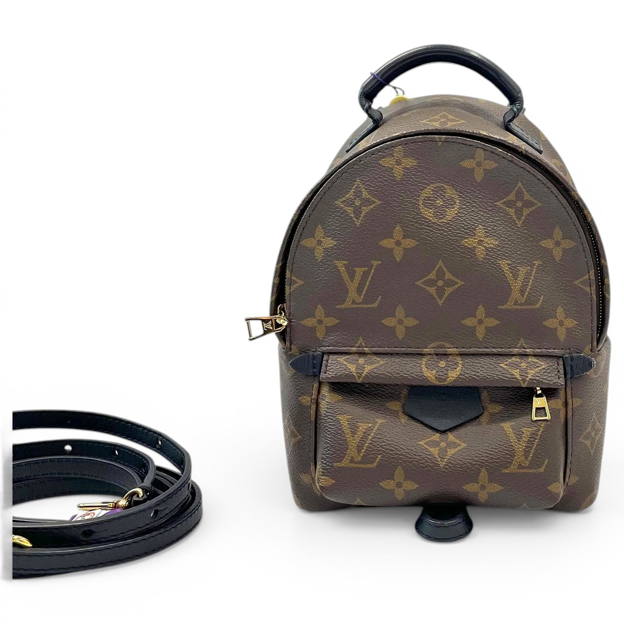 Palm Springs backpack