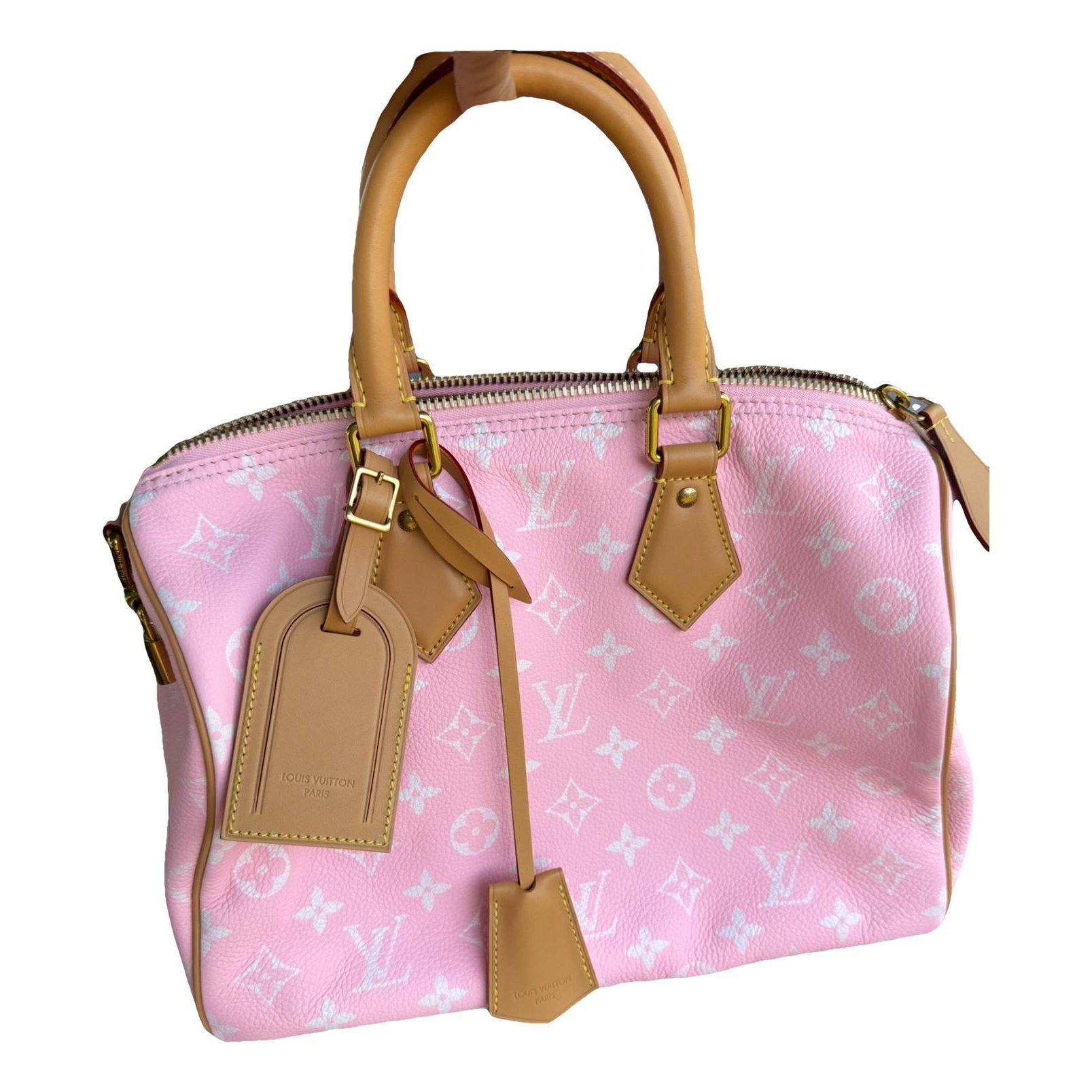 Speedy Bandoulière leather handbag