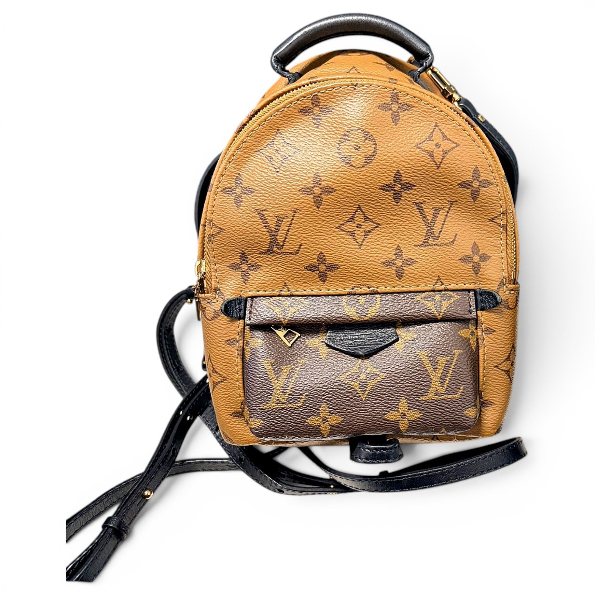 Palm Springs backpack