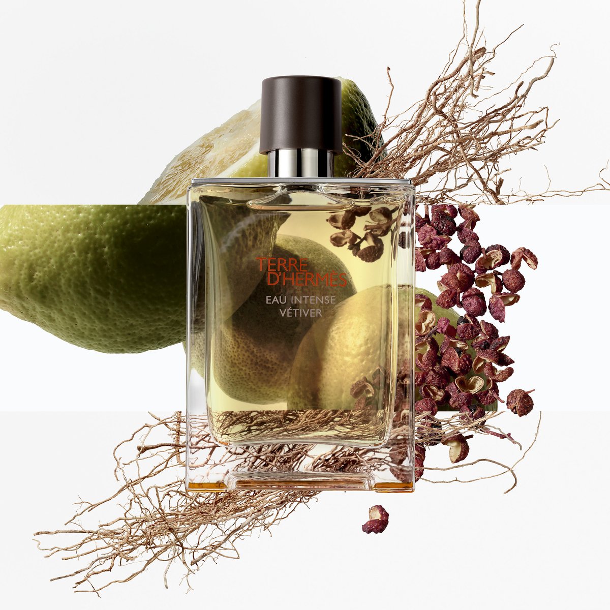 Sans Coloris Terre D'Hermes Eau Intense Vetiver Eau De Parfum