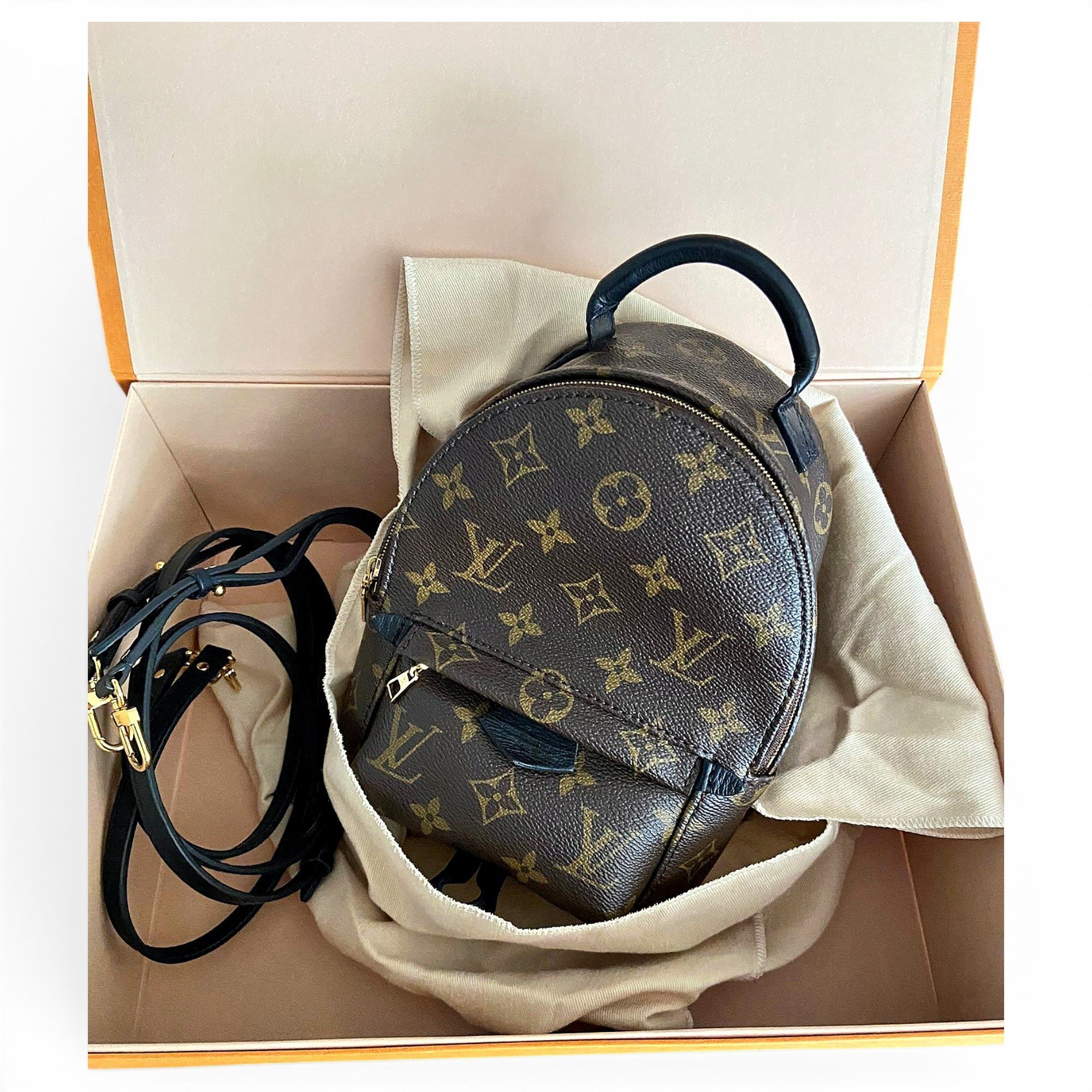 Palm Springs leather backpack