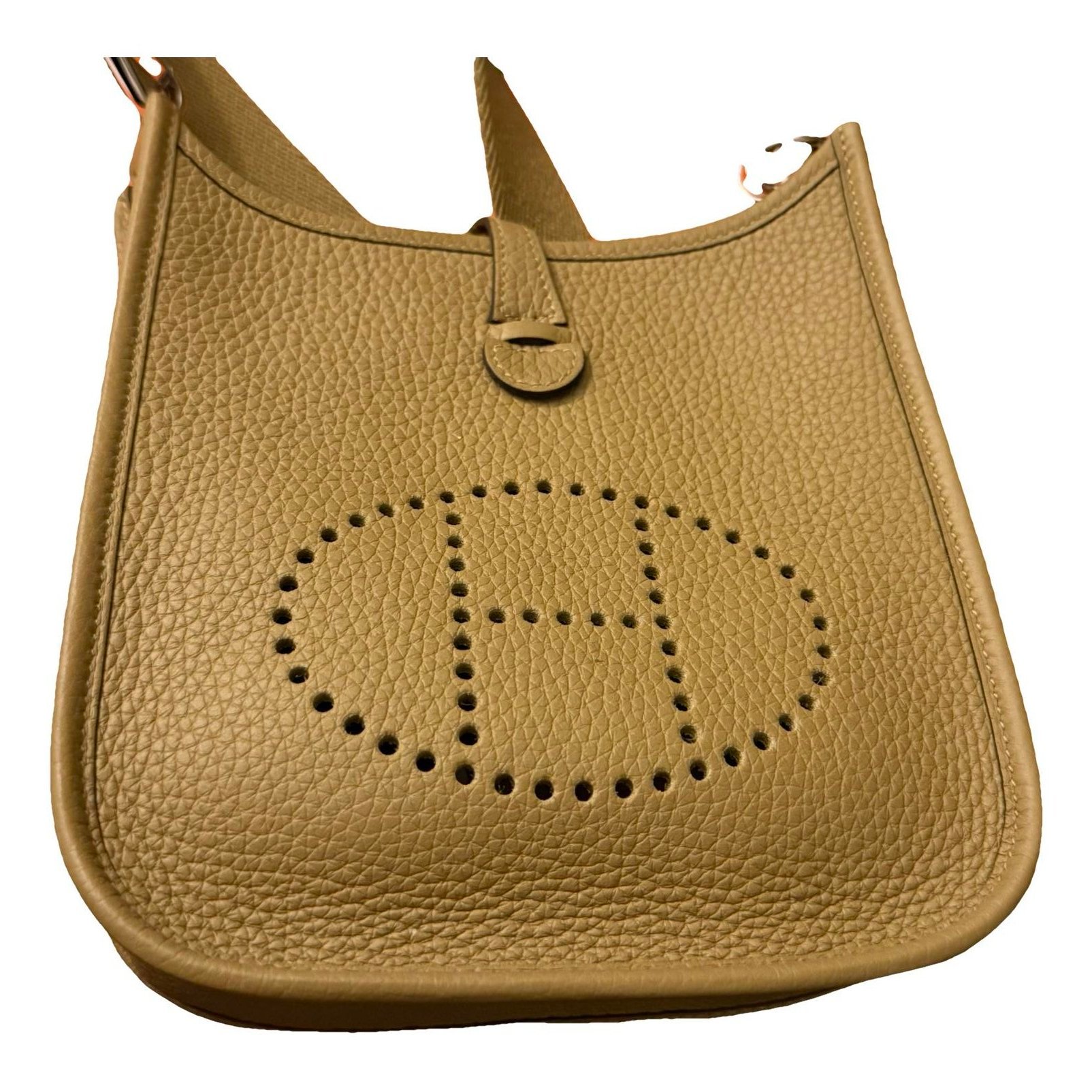 Mini Evelyne leather crossbody bag