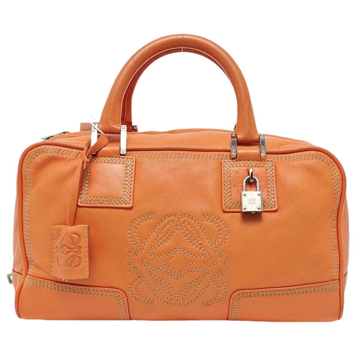 Amazona leather handbag