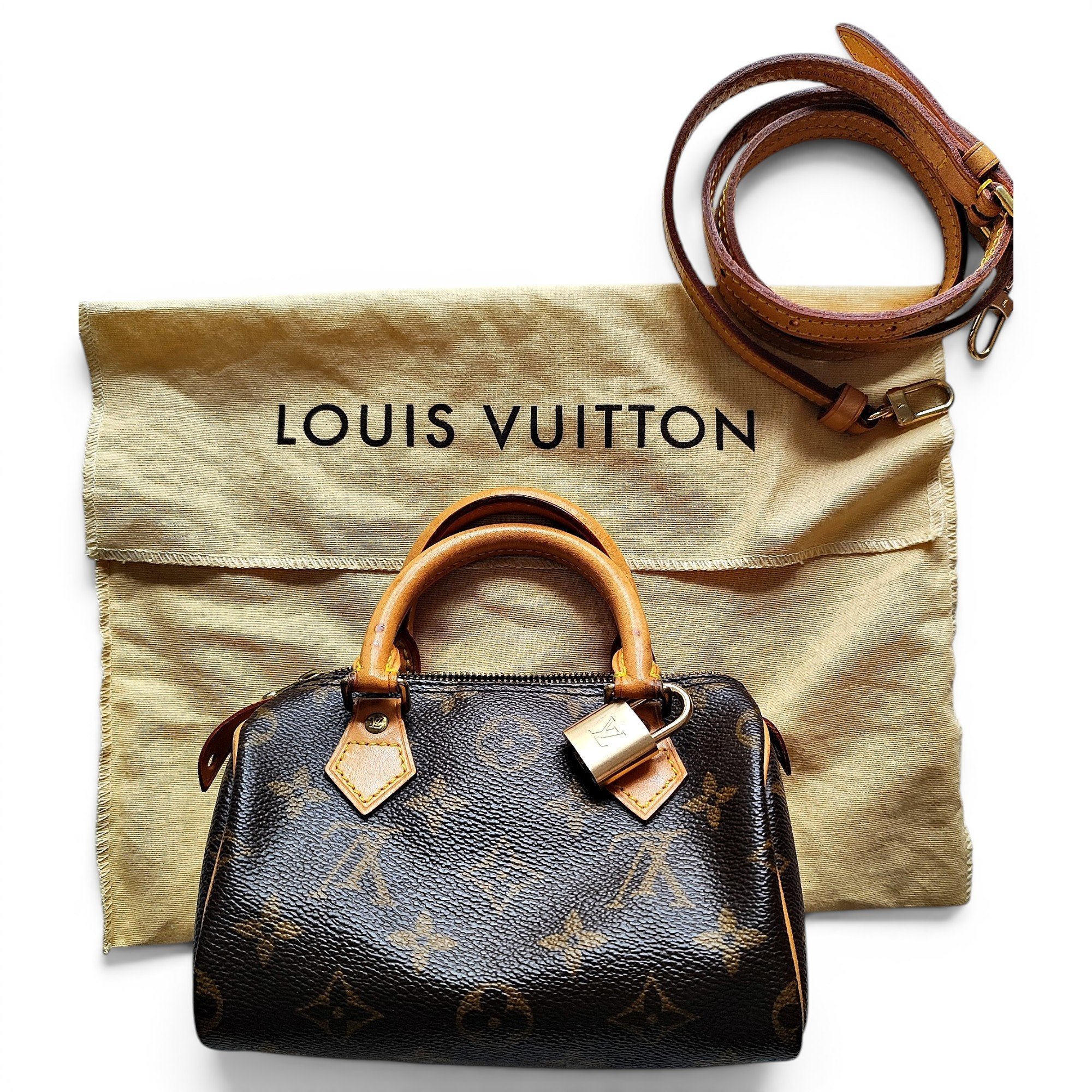 Louis Vuitton Nano Speedy / Mini HL leather crossbody bag