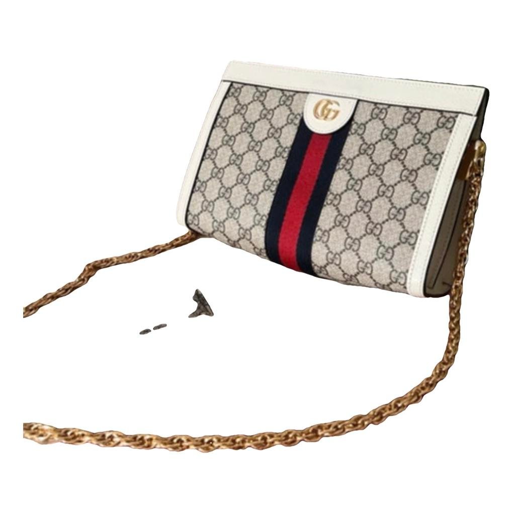 Ophidia Chain leather handbag