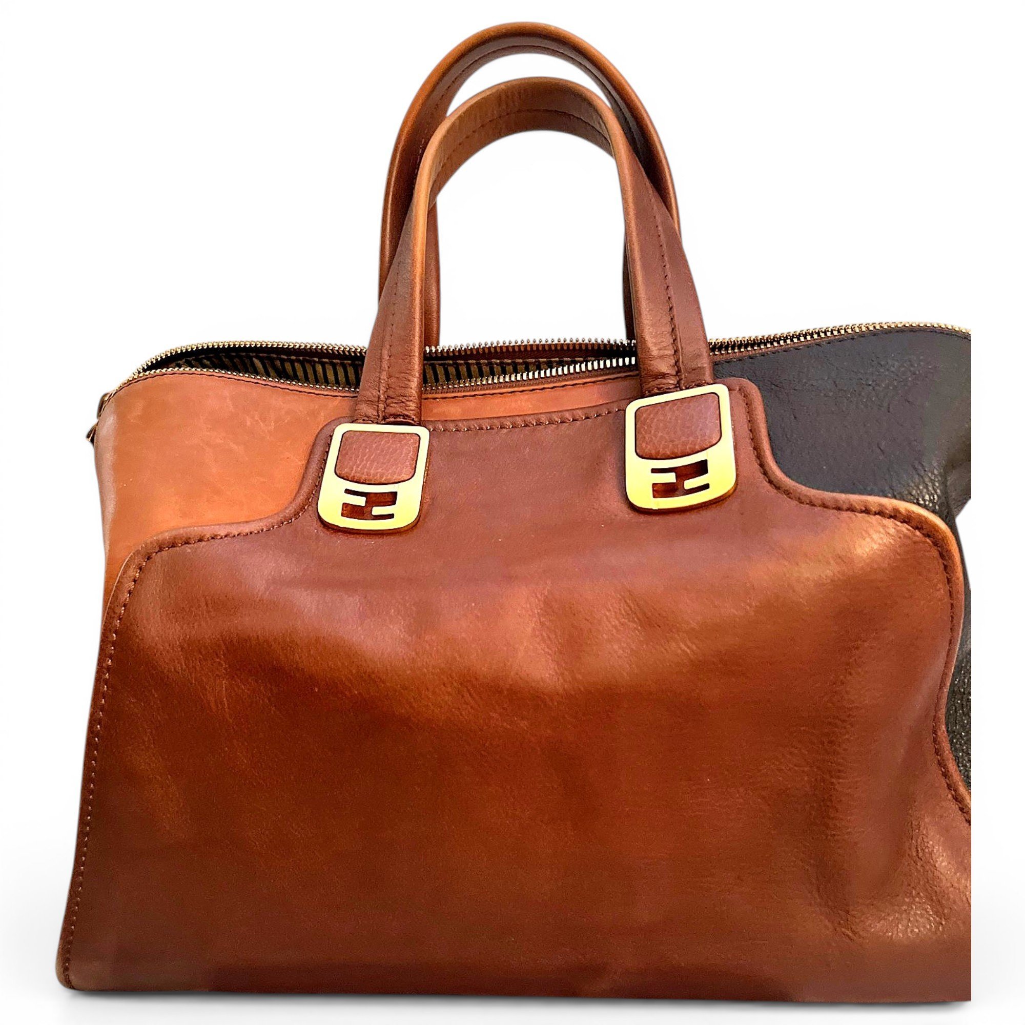 Chameleon leather handbag