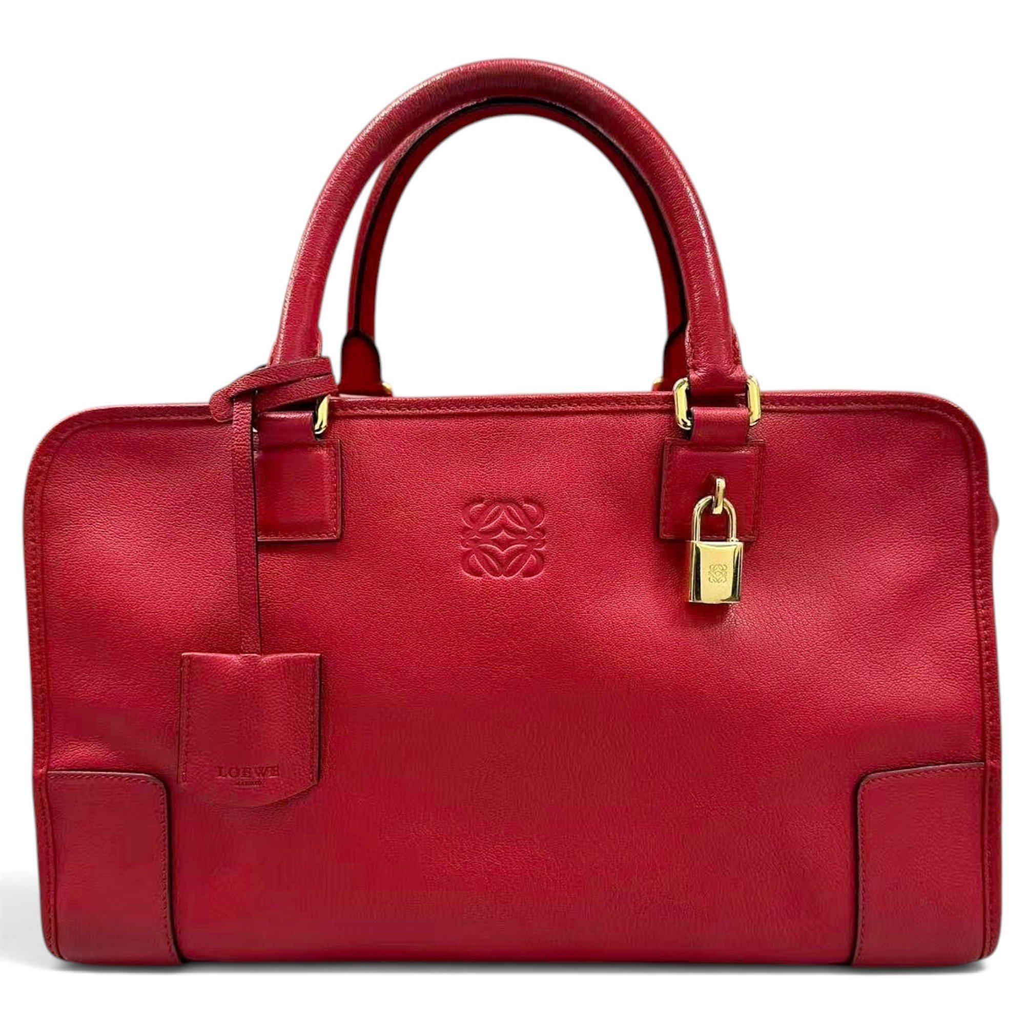 Amazona leather handbag