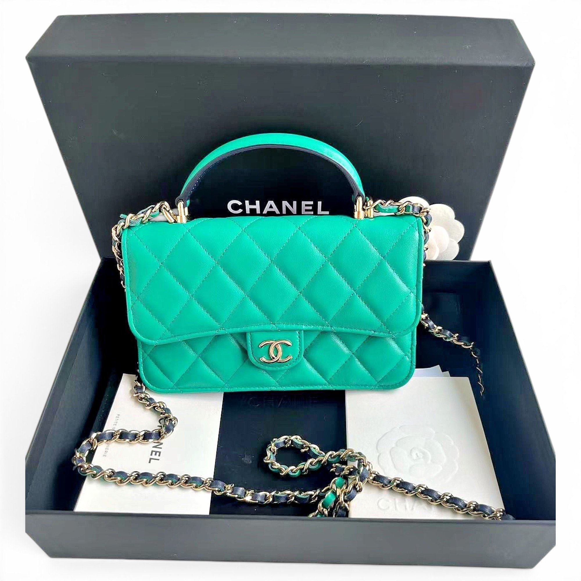 Timeless Classique Top Handle leather handbag