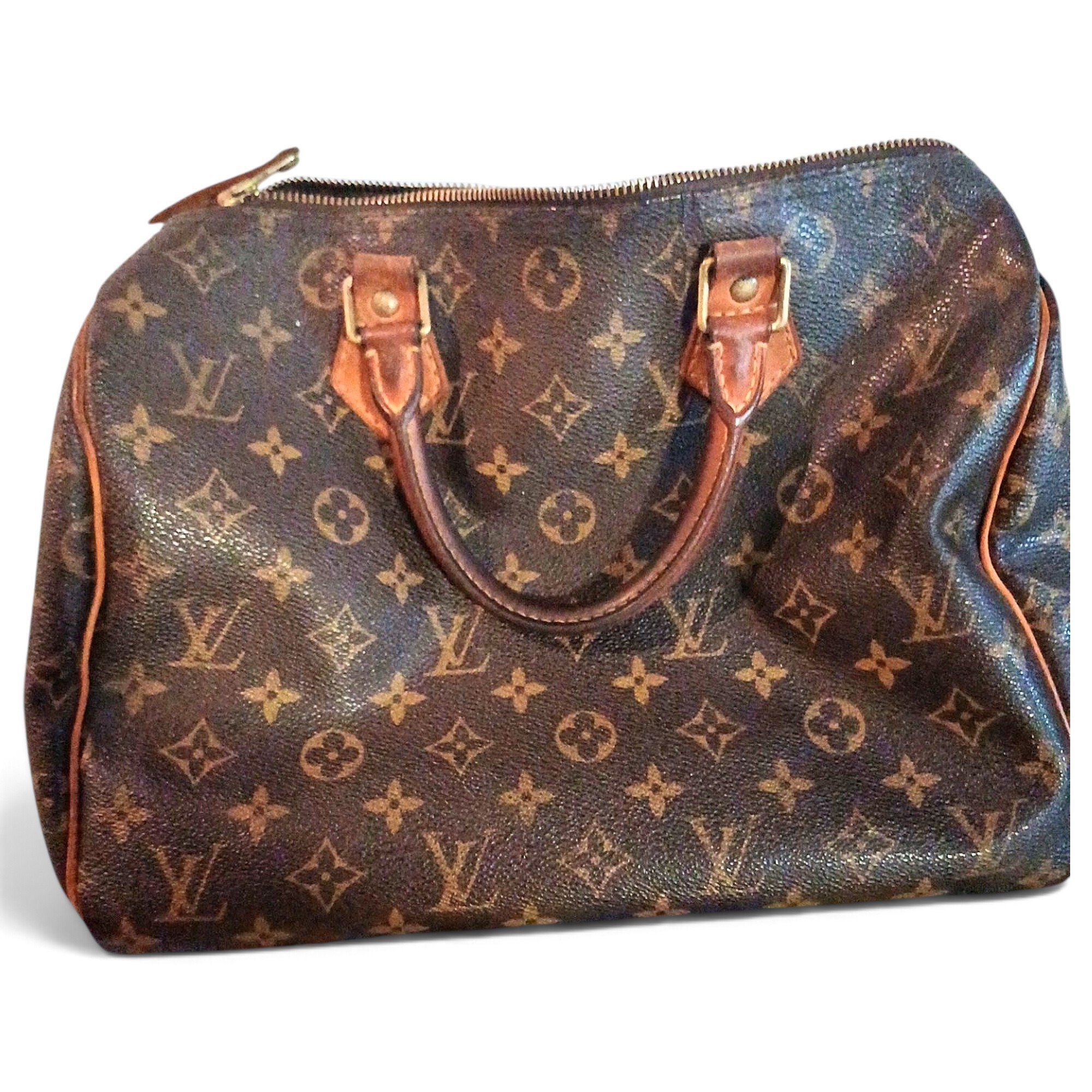 Louis Vuitton Speedy leather handbag