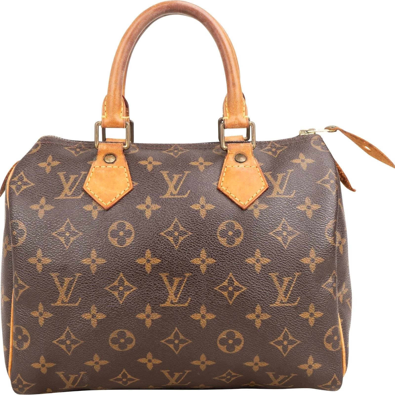 Speedy leather handbag