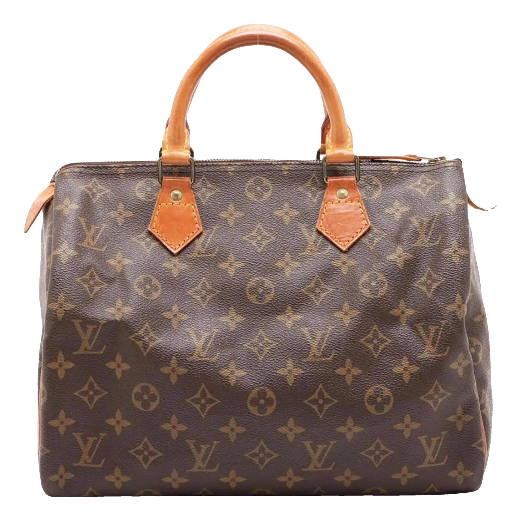 Speedy leather bag