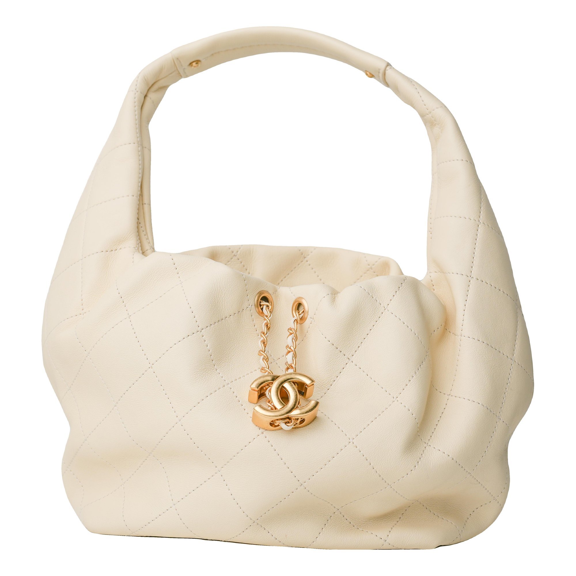 Chanel 25 exotic leathers handbag