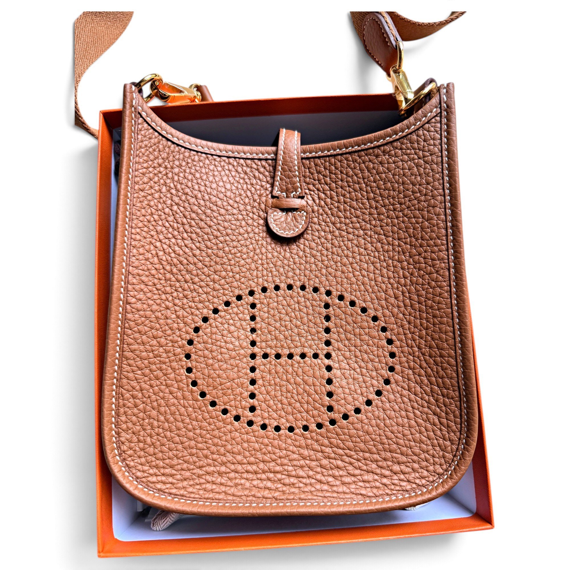 Mini Evelyne leather crossbody bag