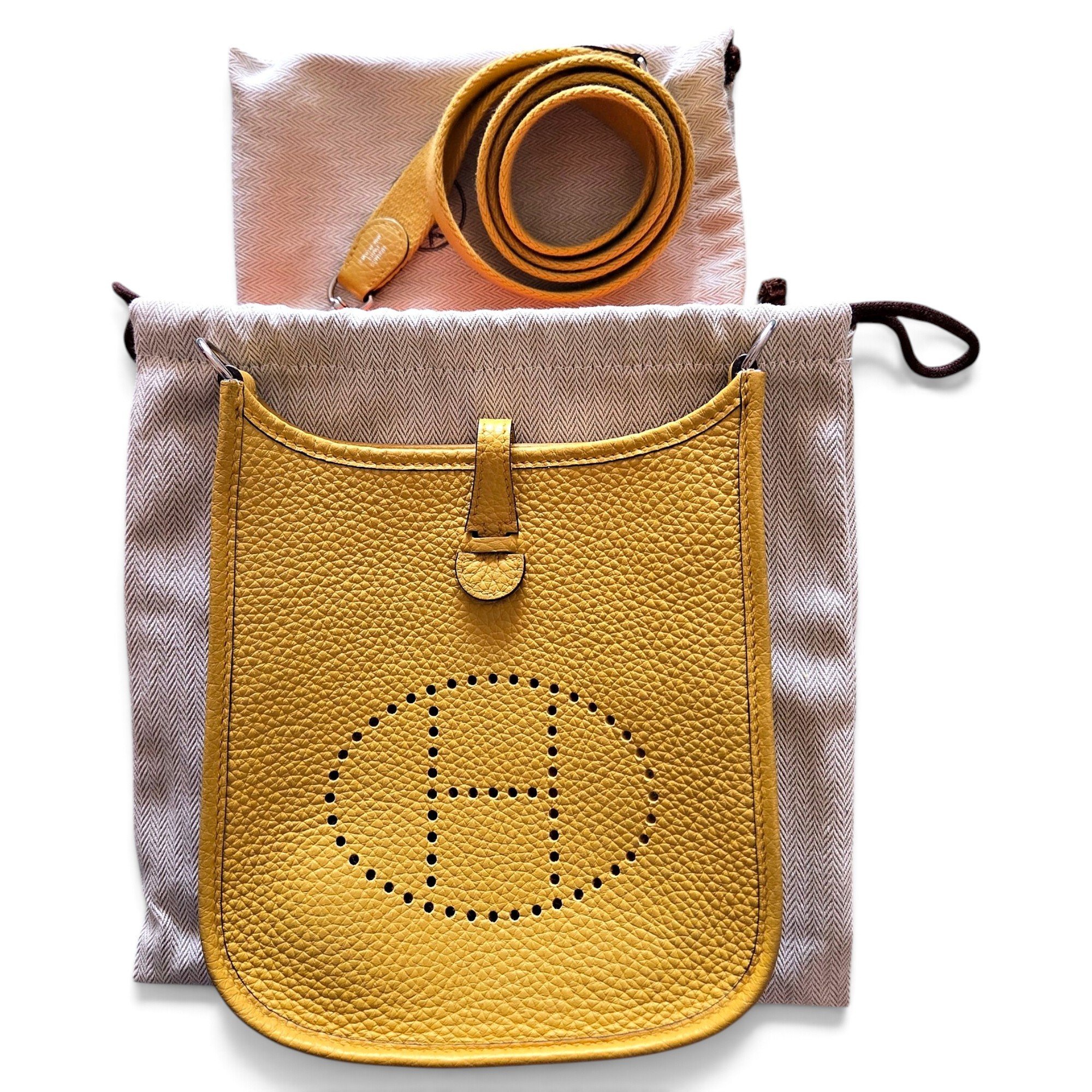 Mini Evelyne leather mini bag