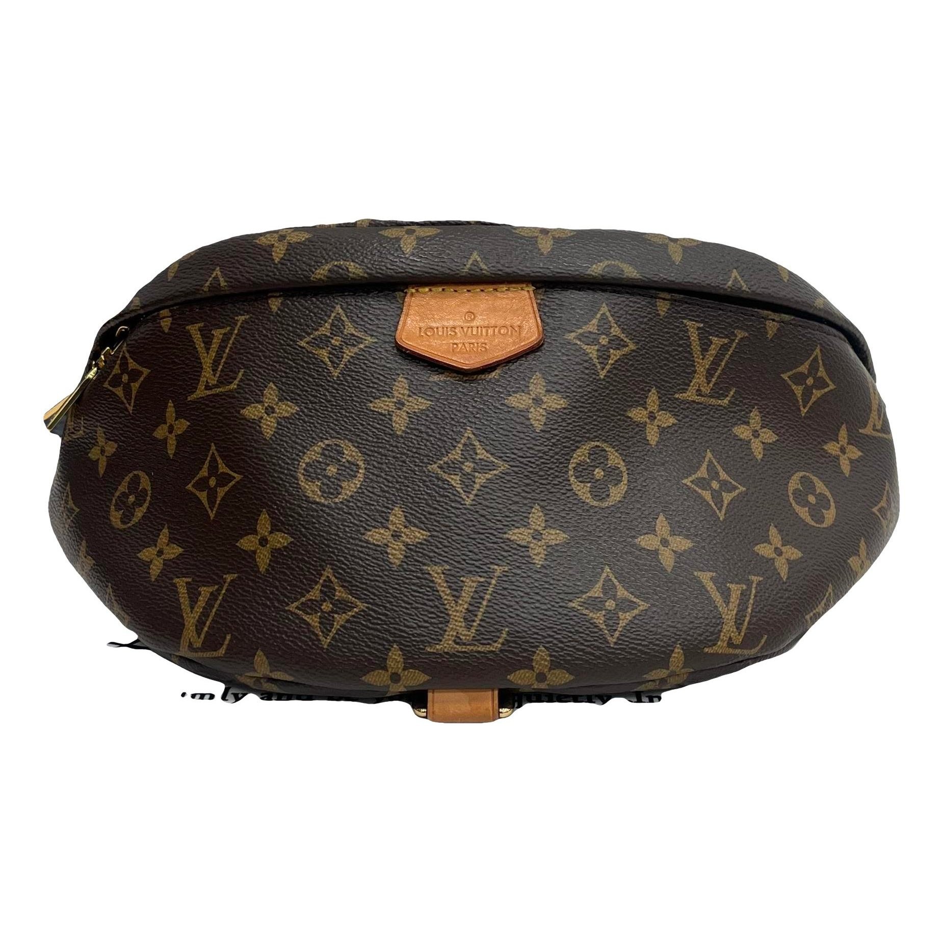 Bum Bag / Sac Ceinture leather handbag