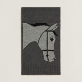 Quadrige scarf
