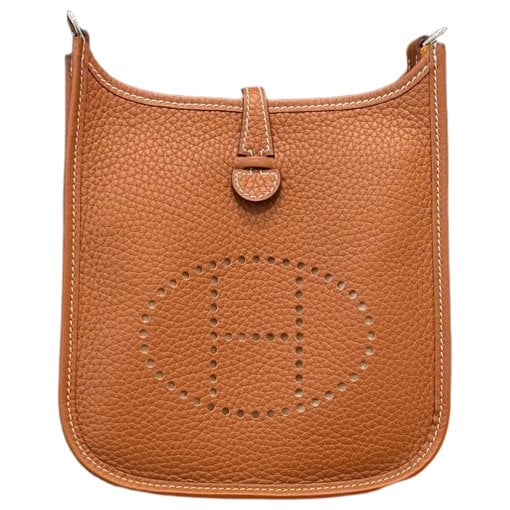 Mini Evelyne leather crossbody bag