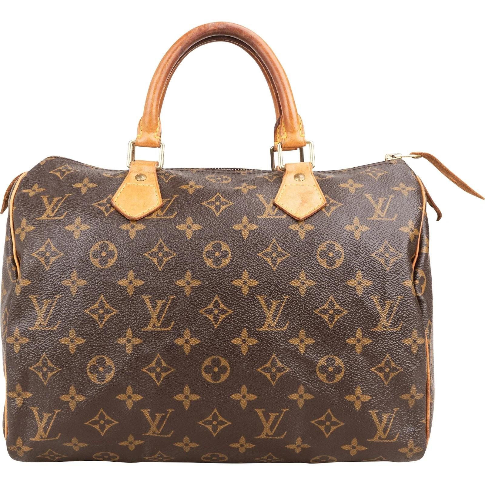 Louis Vuitton Speedy leather handbag