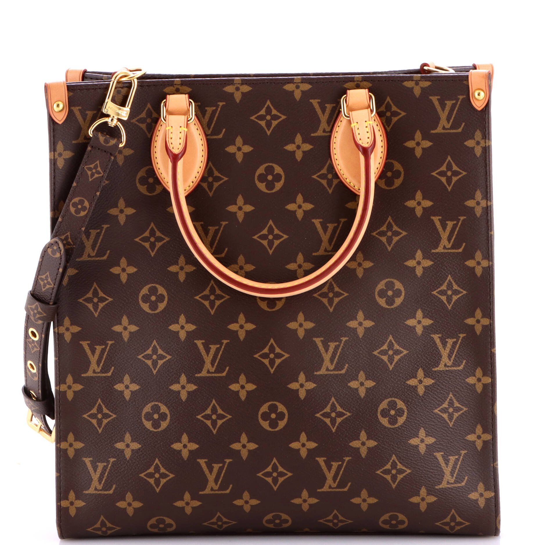 Sac Plat NM Bag Monogram Canvas PM