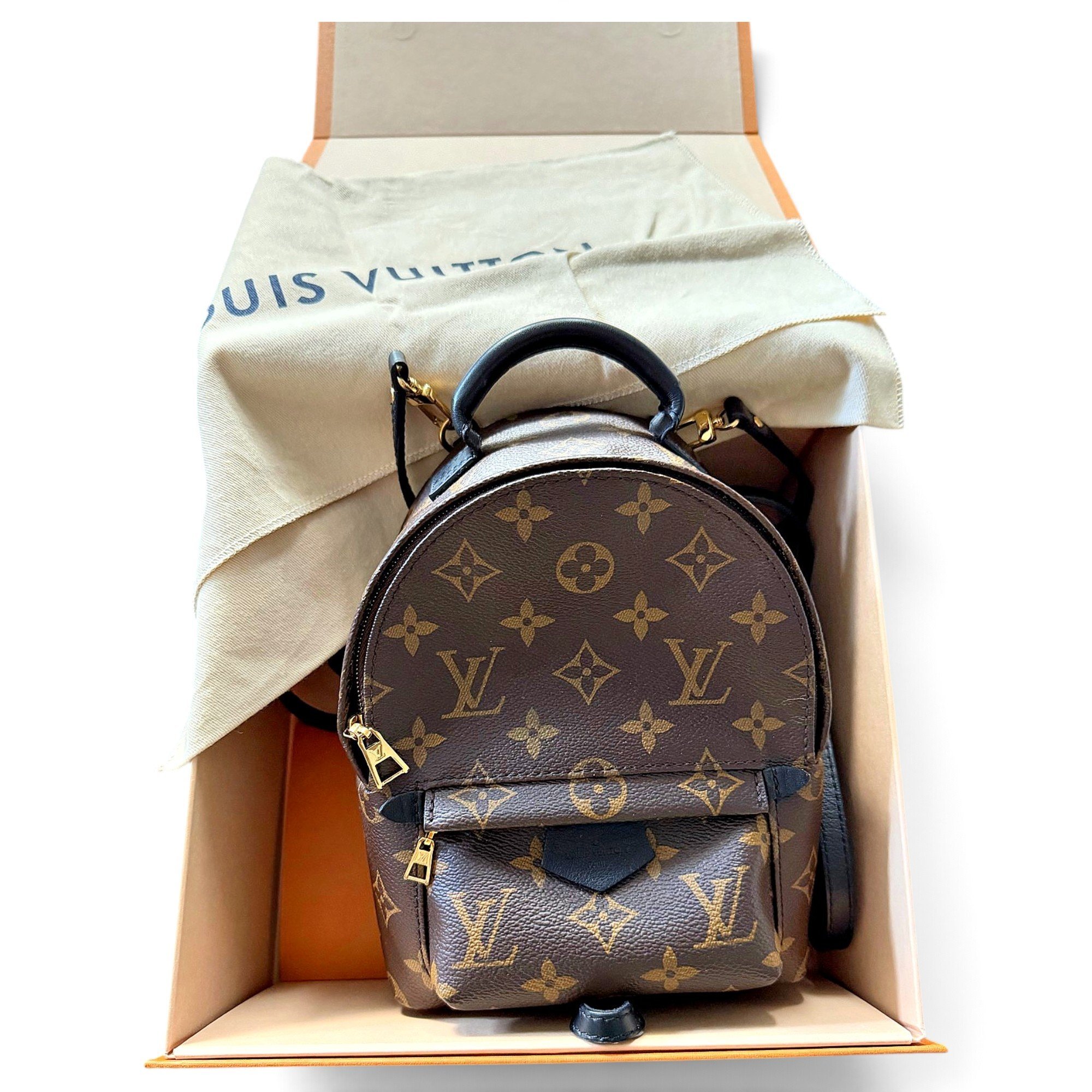 Palm Springs backpack