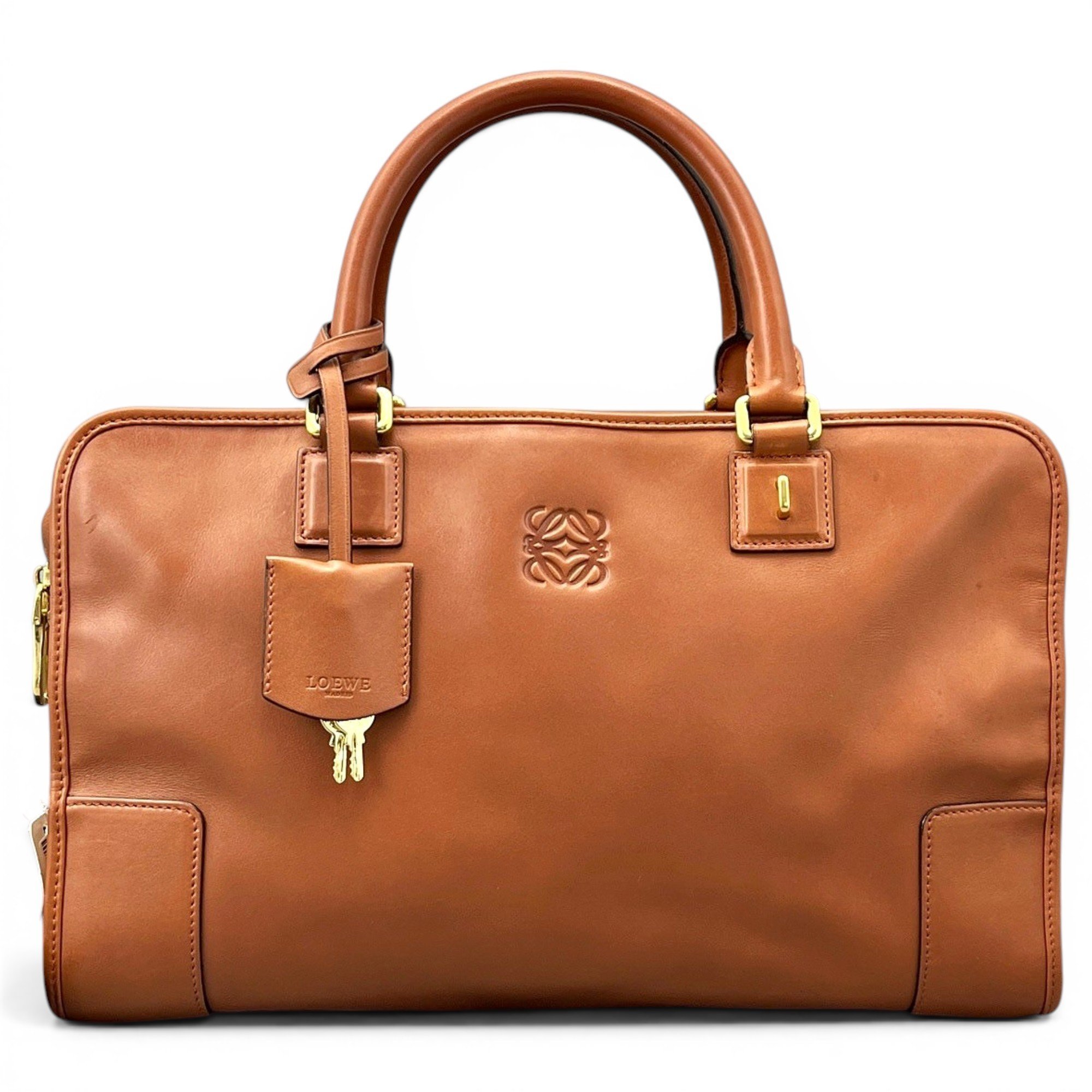 Amazona leather handbag