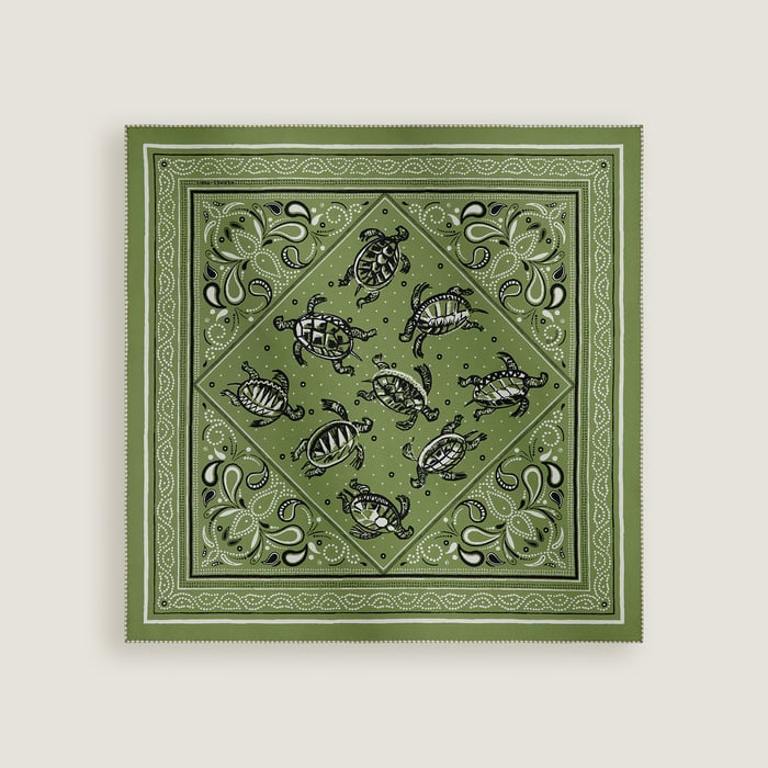 Les Tortues Bandana 55