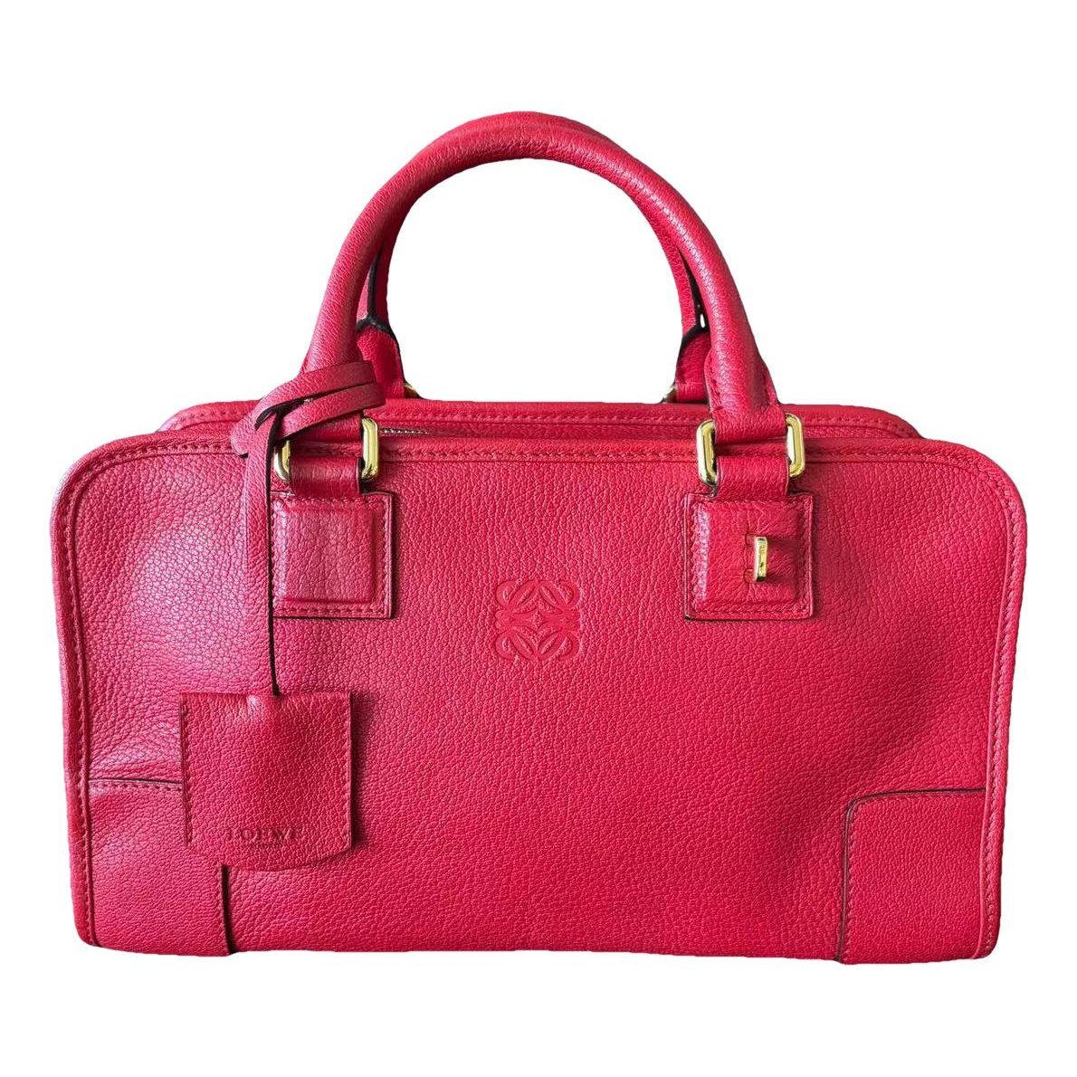 Amazona leather handbag