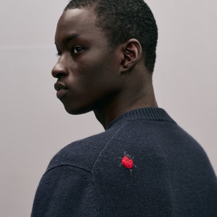 Marine "Broderie Coccinelle" Crewneck Cashmere Sweater