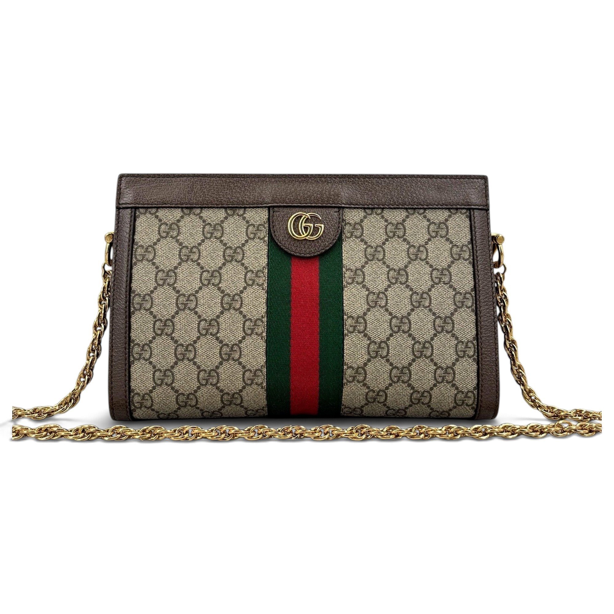 Ophidia Chain leather handbag