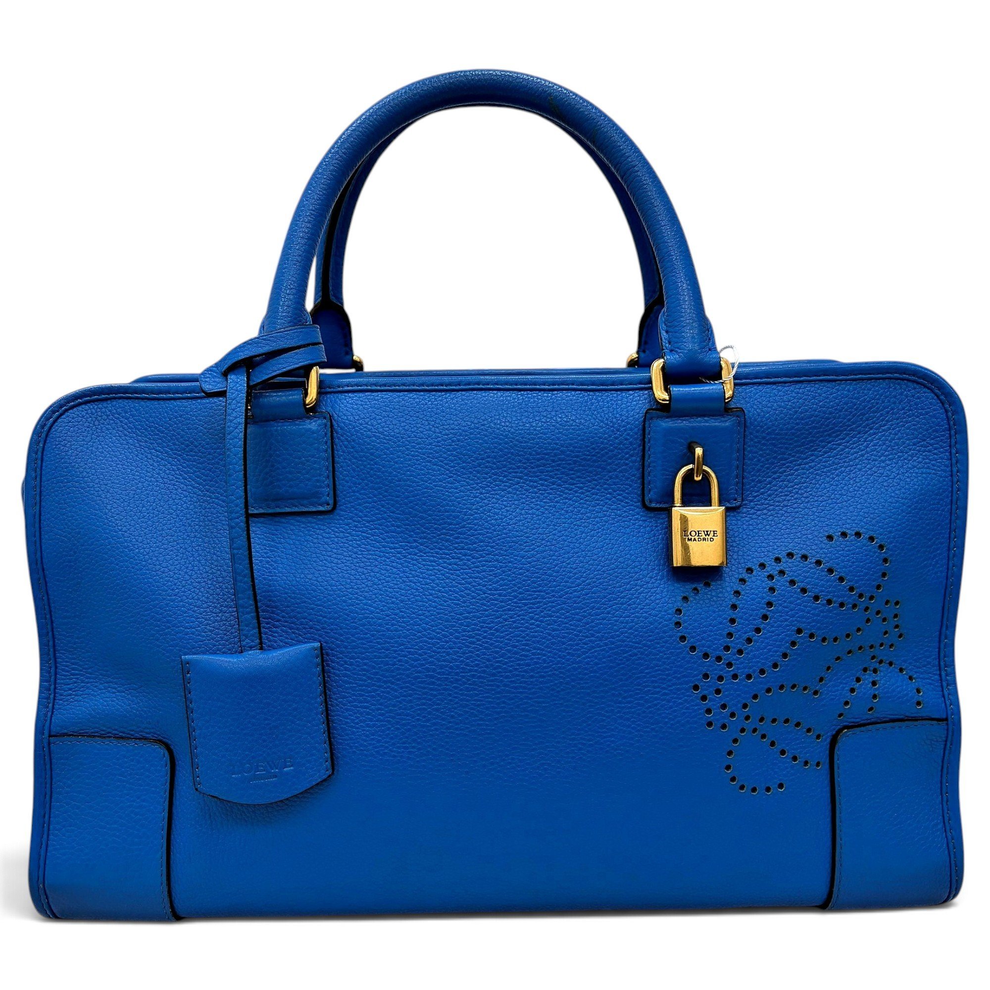 Amazona leather handbag