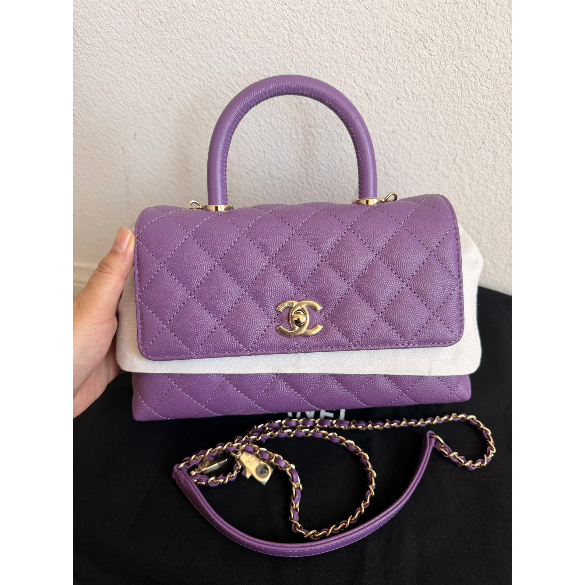 Coco Handle leather handbag