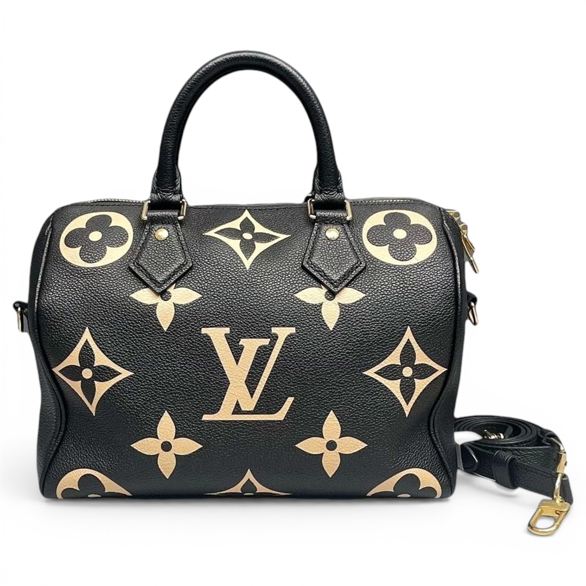 Louis Vuitton Nano Speedy / Mini HL leather bag