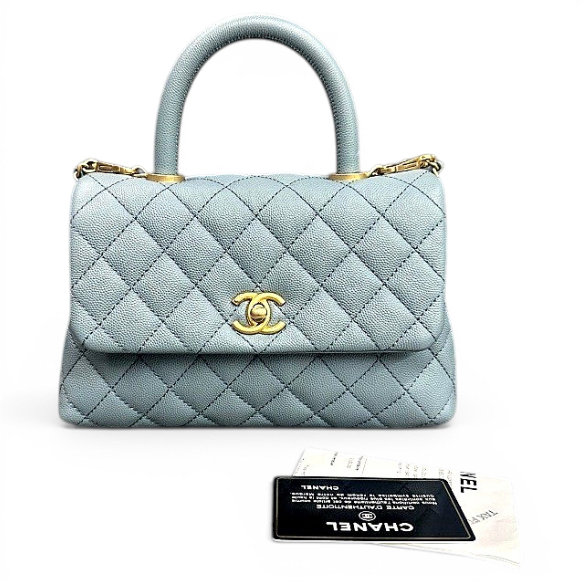 Coco Handle leather handbag