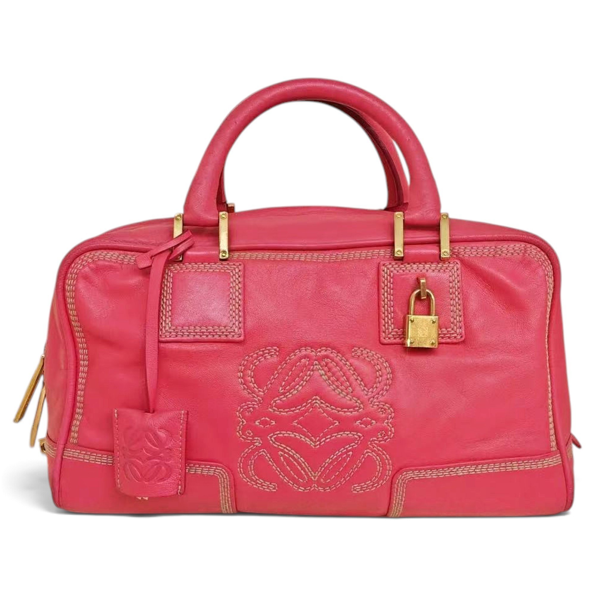 Amazona leather handbag