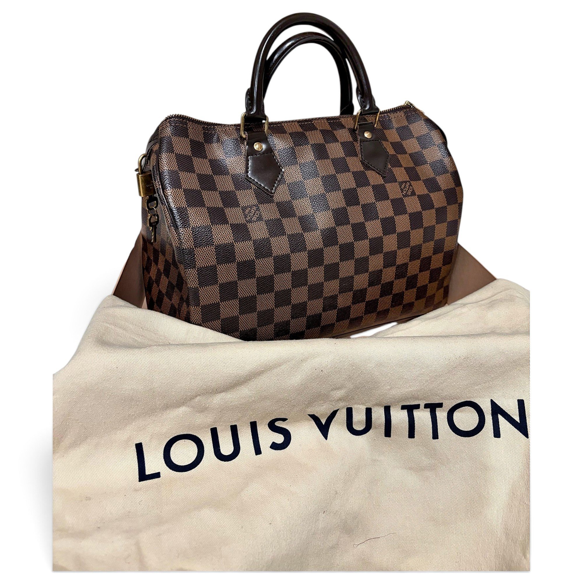 Louis Vuitton Speedy leather handbag