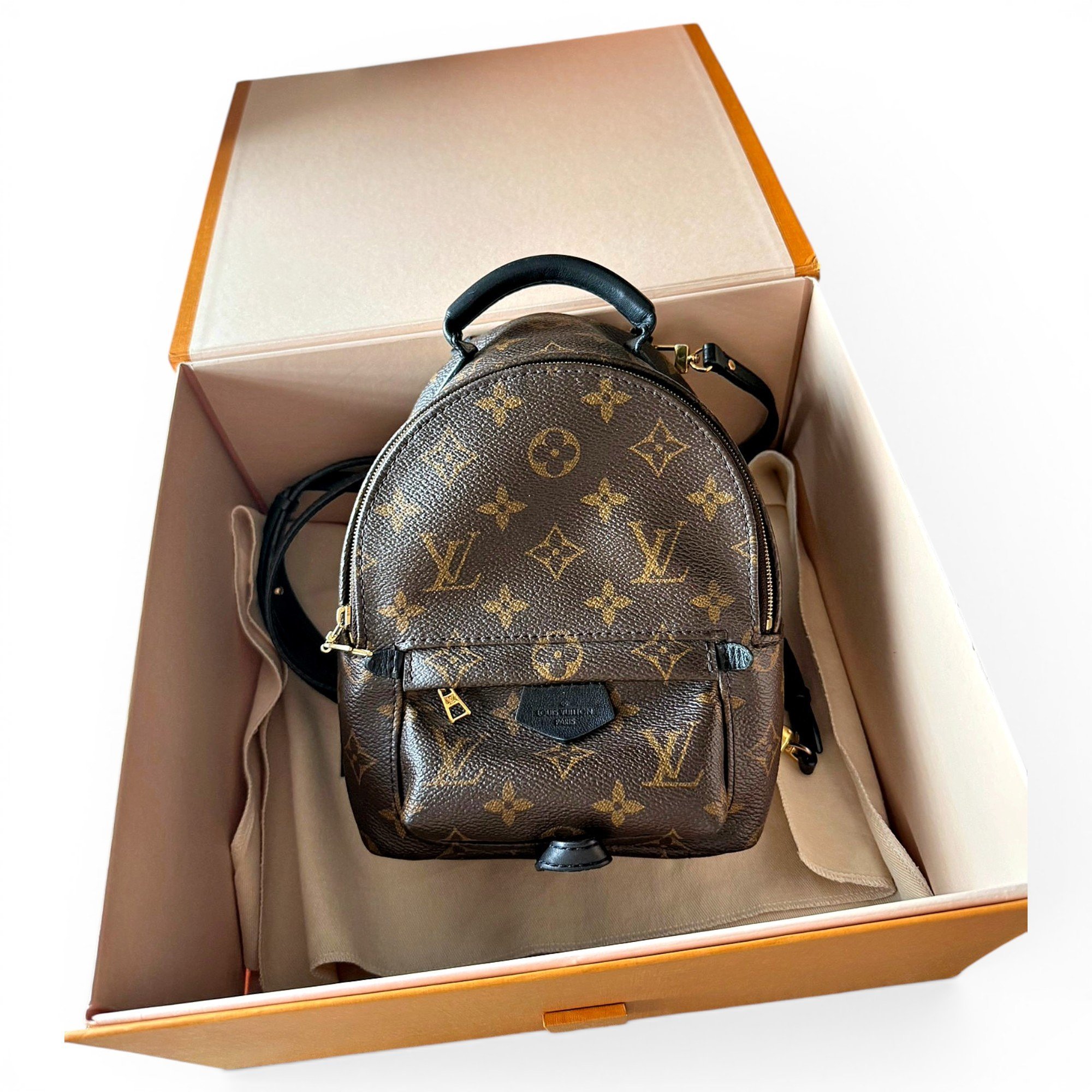 Palm Springs leather backpack