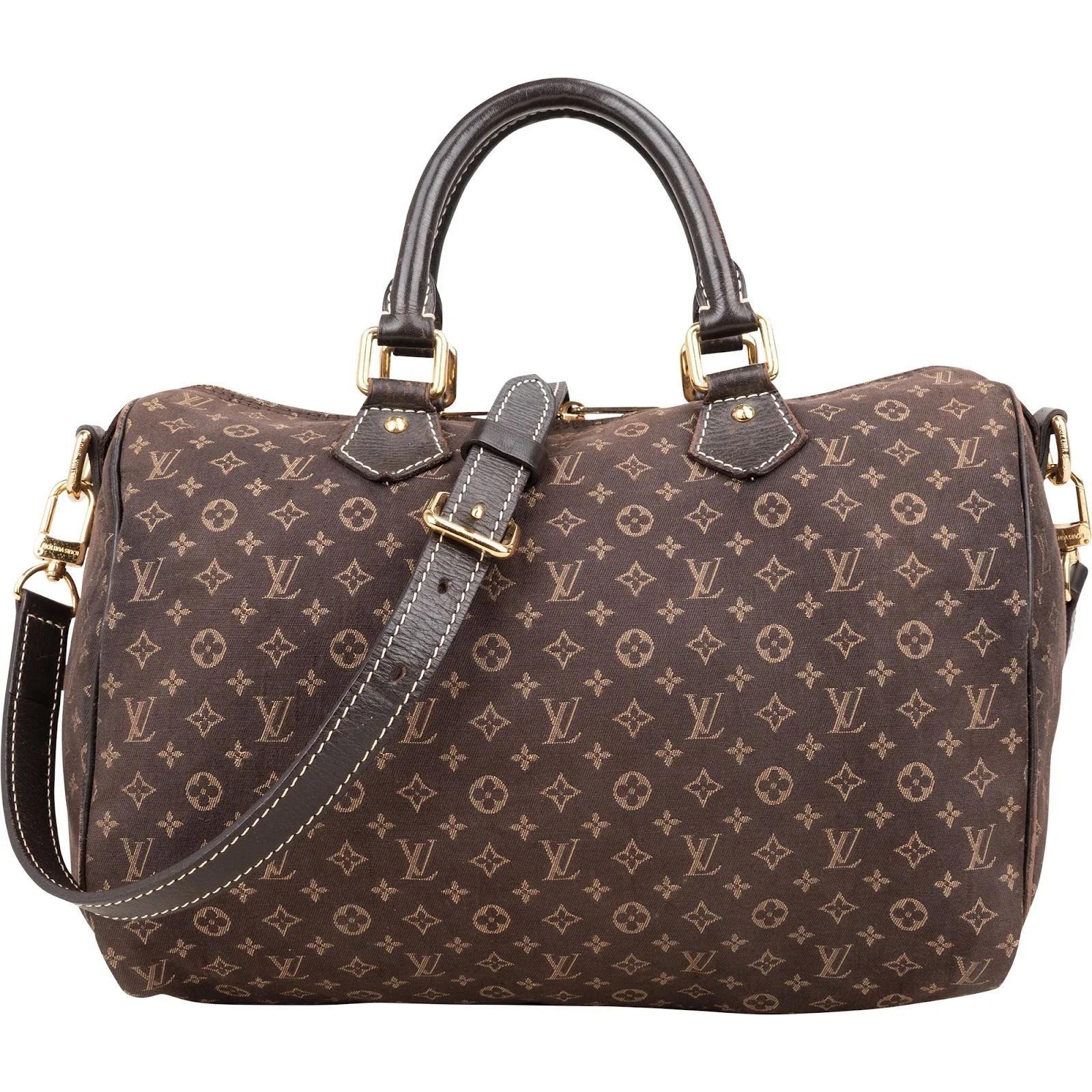 Louis Vuitton Speedy Bandoulière leather bag