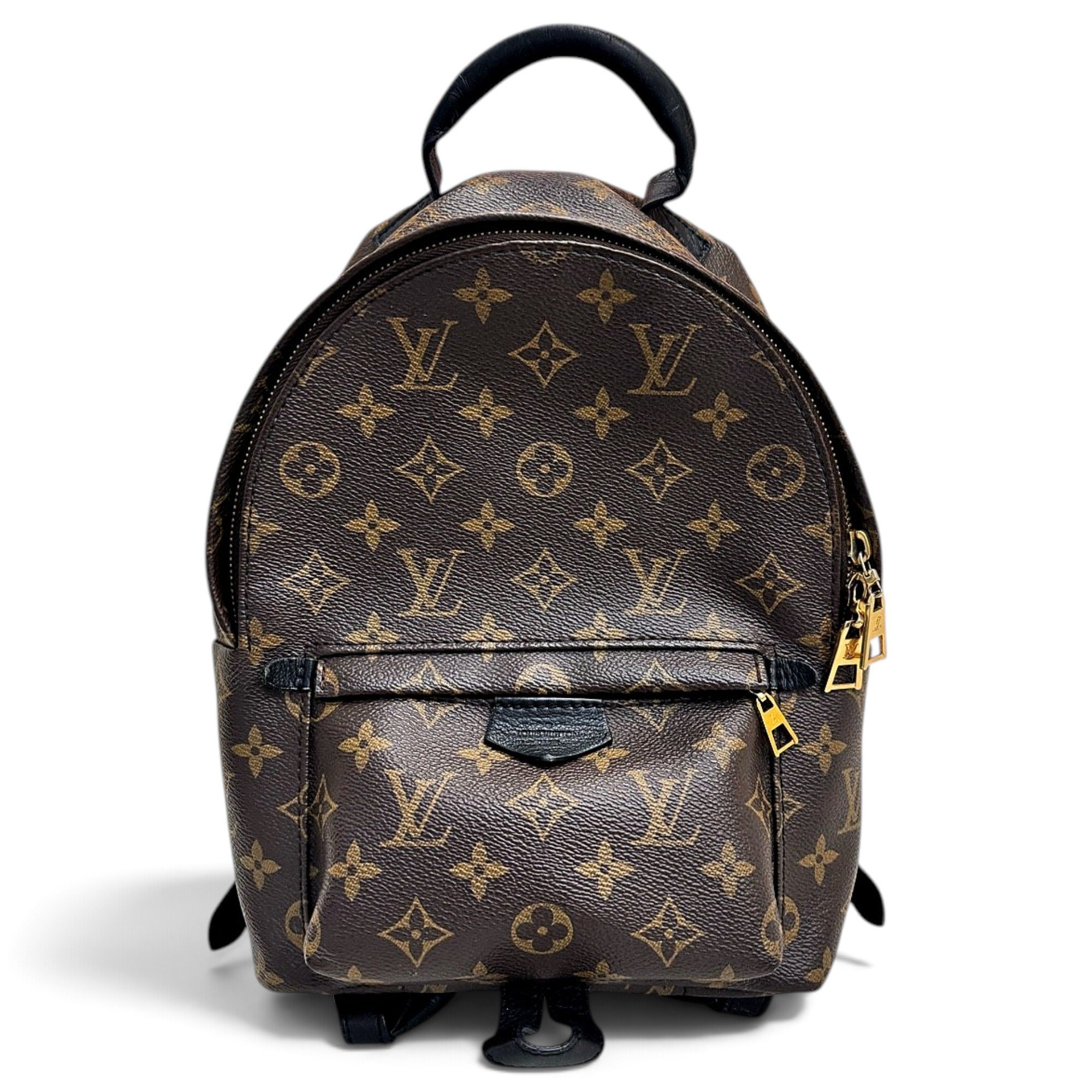 Palm Springs backpack