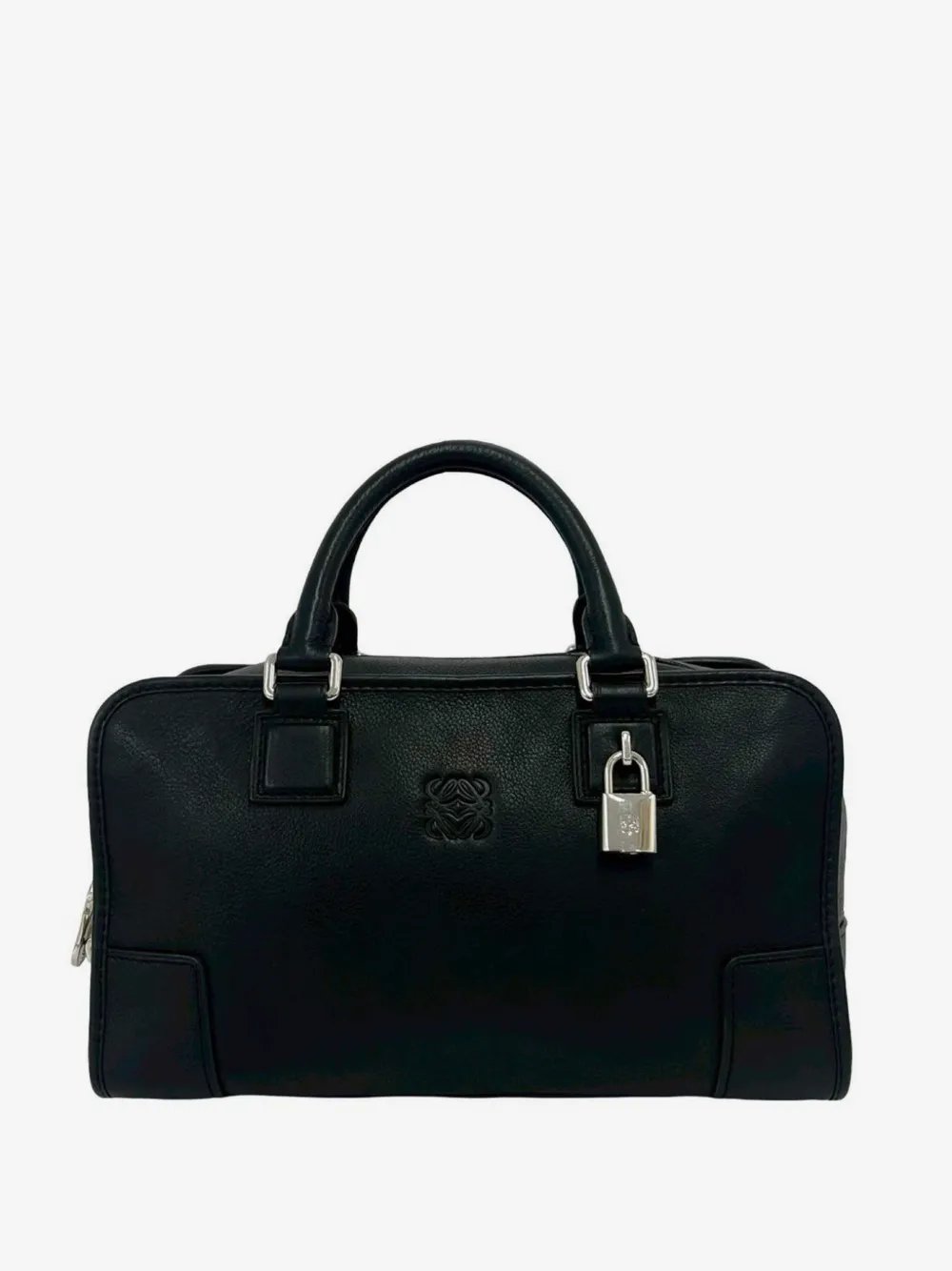 2010-2026 Leather Amazona 28 handbag