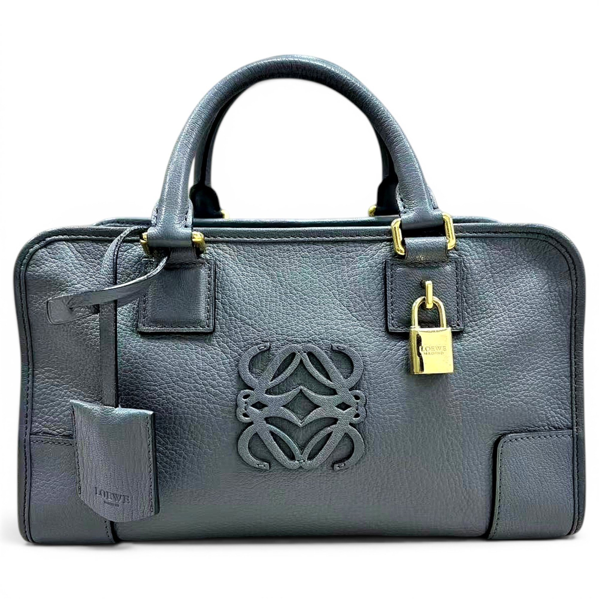 Amazona leather handbag