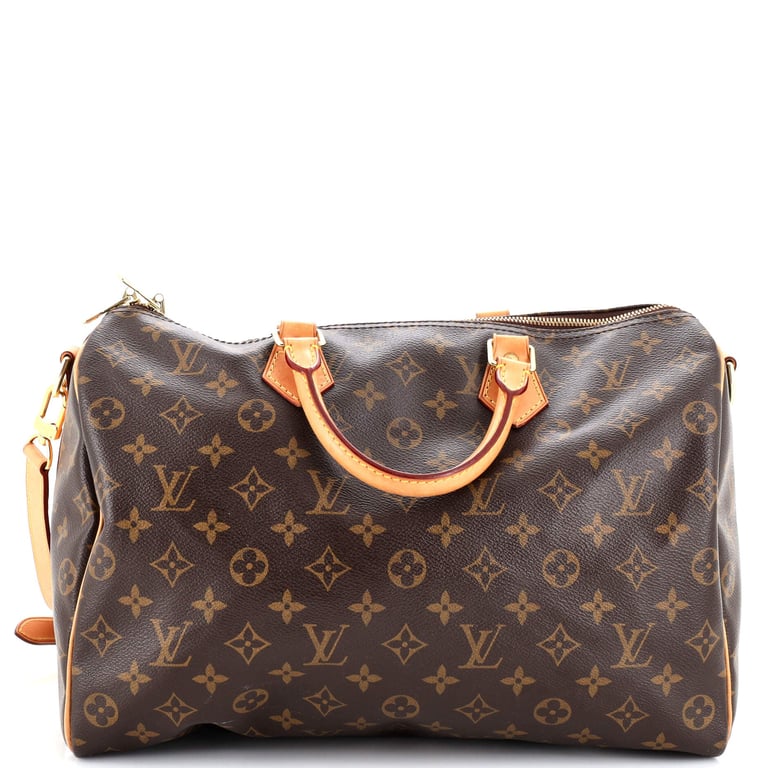 Bag and Purse Organizer with Singular Style for Louis Vuitton Noe