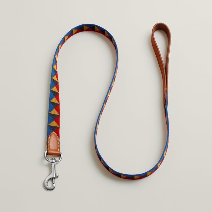 Dark Irish Medor Dog Leash