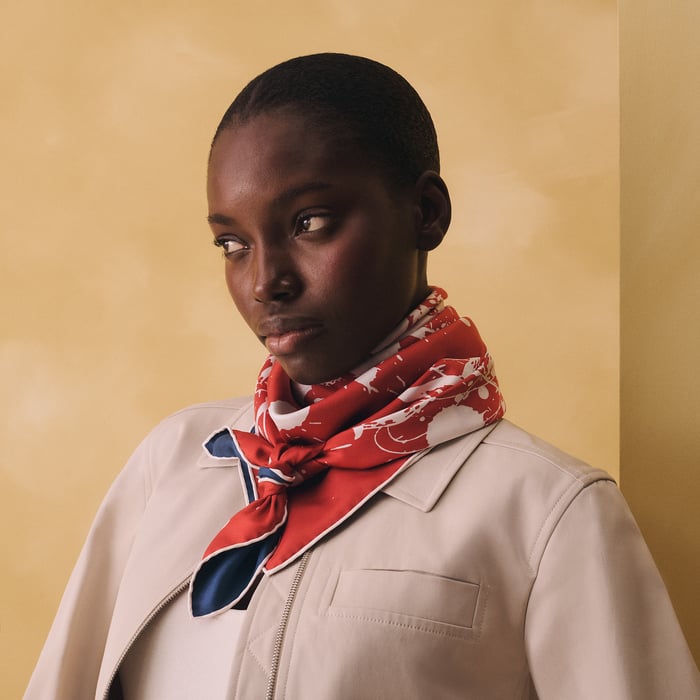Cheval Surprise Double Face Scarf 90