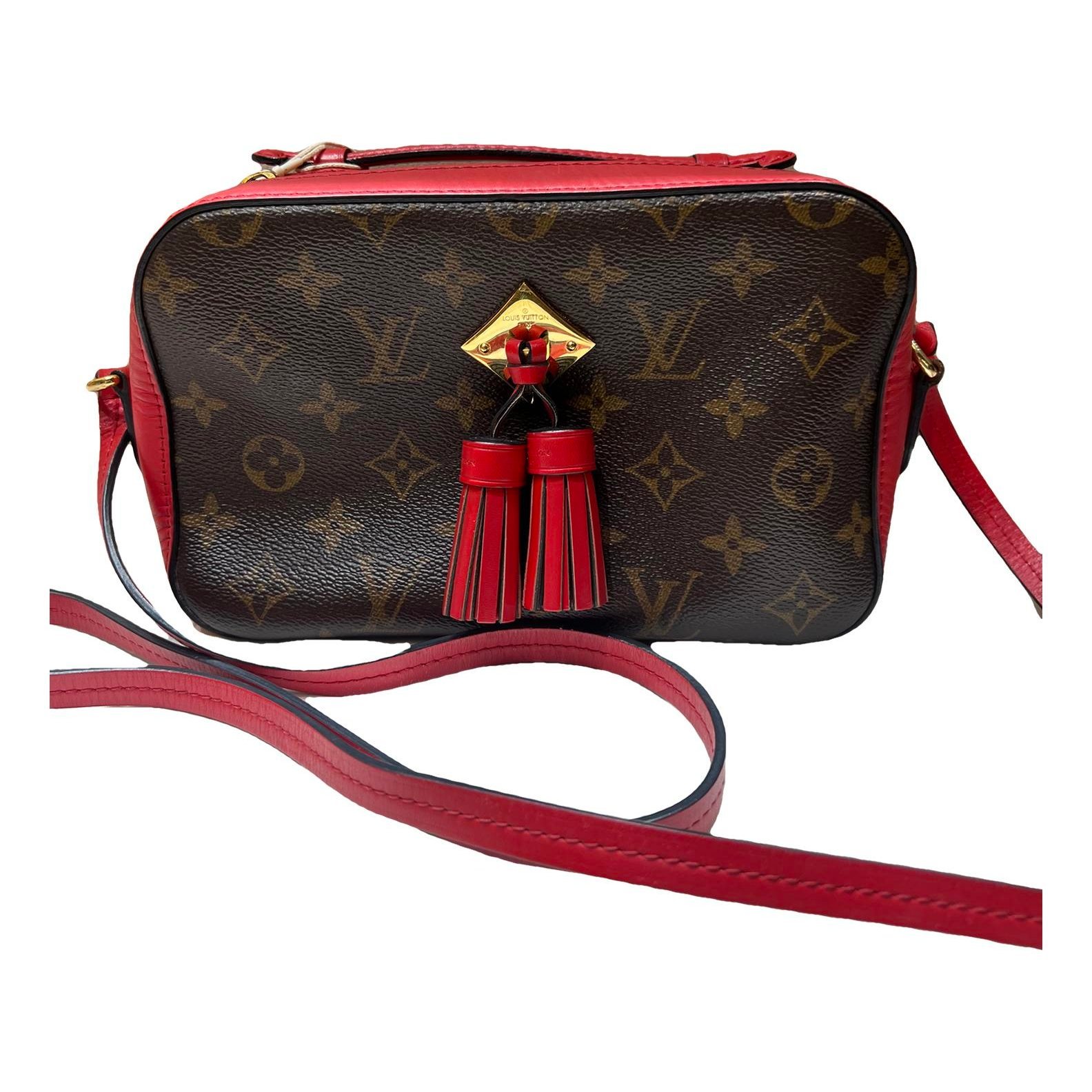 Saintonge leather crossbody bag