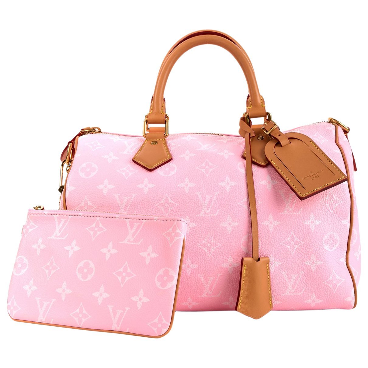 Louis Vuitton Speedy cloth handbag