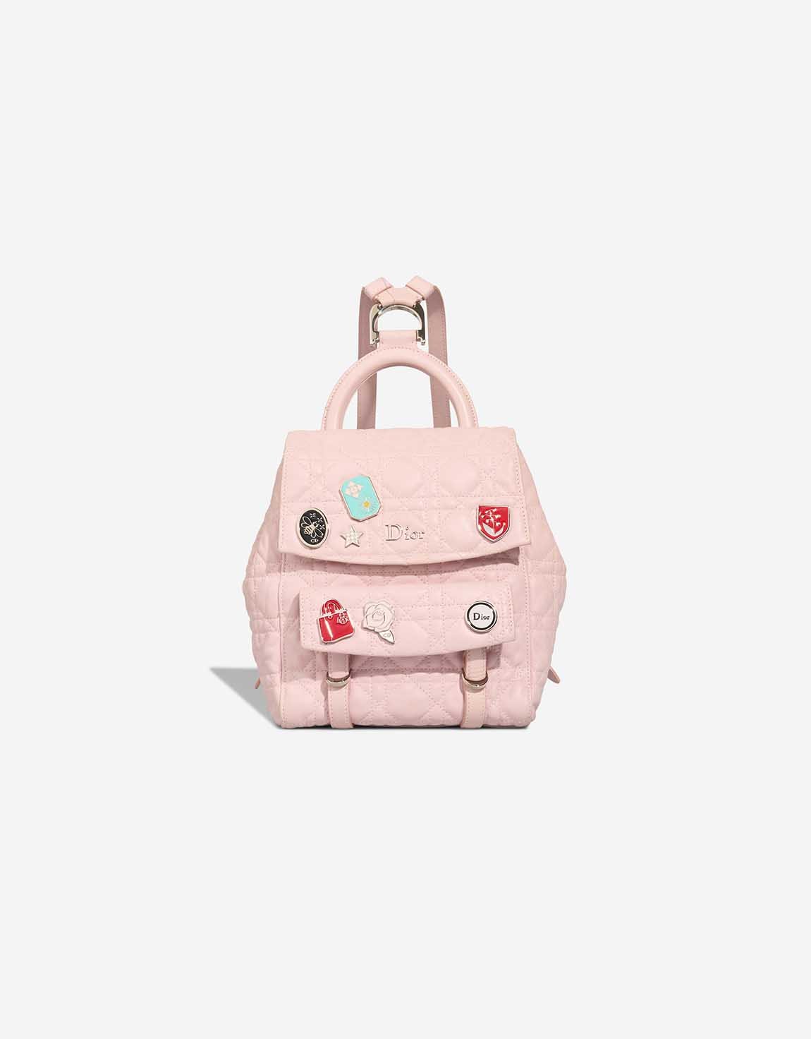 Dior 
		Backpack Small Lamb Pink    