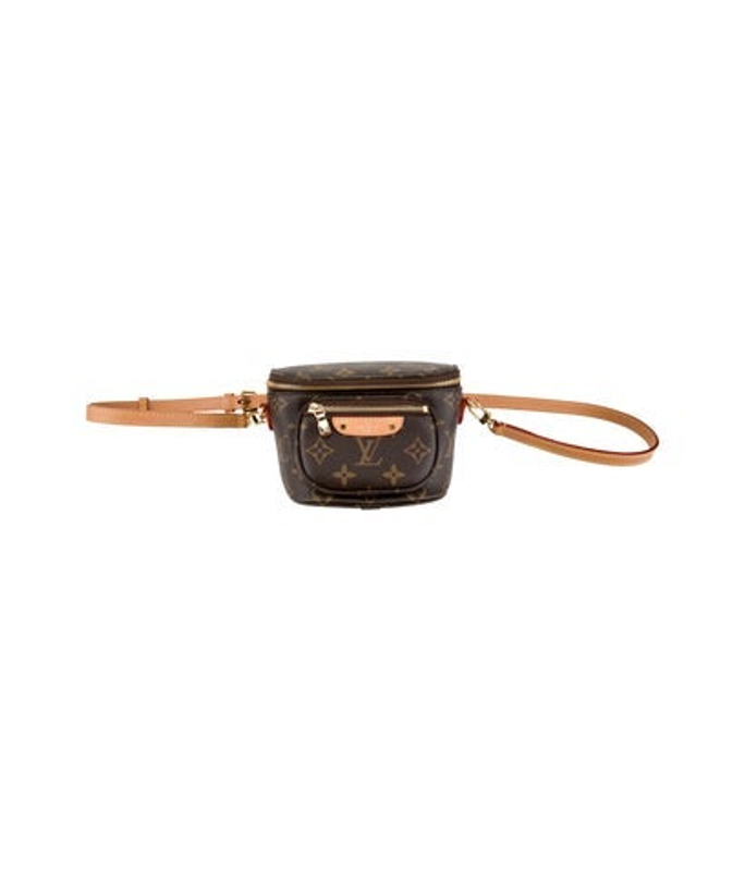 Louis Vuitton Vuitton Lv Monogram Bumbag Mini